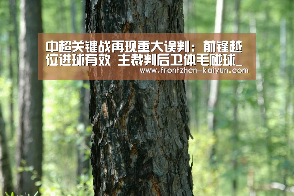 中超关键战再现重大误判:前锋越位进球有效 主裁判后卫体毛碰球_开云(图3)
中超关键战再现重大误判:前锋越位进球有效 主裁判后卫体毛碰球_开云(图3)